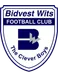 Bidvest Wits FC