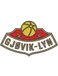 Gjøvik-Lyn