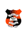 Al Ansar