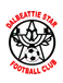Dalbeattie Star