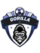 Gorilla FC