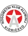 NK Aluminij