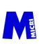 Micri Calcio