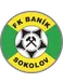 Banik Sokolov