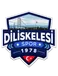 Diliskelesispor