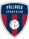 Pöllauer SK