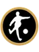 Stockholm StreetSoccer FF Logo