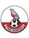 FC Downton