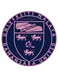 UM-Damansara United logosu