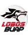 Lobos BUAP