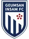 Geumsan Insam