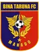 Bina Taruna