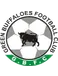 Green Buffaloes
