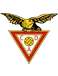 Aves U19