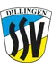 SSV Dillingen