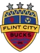 Flint City