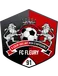 FC Fleury 91