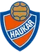 Haukar