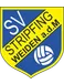 SV Stripfing