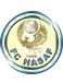 Nasaf Qarshi