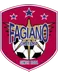 Fagiano Okayama