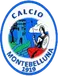 Montebelluna