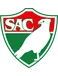 Salgueiro