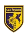 Pegasus