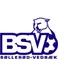 BSV U19