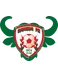 Gomido FC