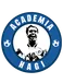 Academia Hagi