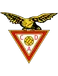 Aves