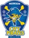 City Pirates