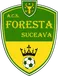 Foresta Suceava