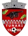 CS Tunari