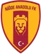 Niğde Anadolu
