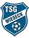 TSG Wieseck U17