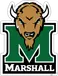 Thundering Herd