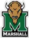 Thundering Herd