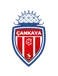 Çankaya SK Alt.