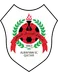 Logo de Al-Rayyan SC Olympic