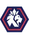 Cheongju FC