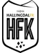 Hallingdal FK